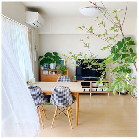 枝もの なら気軽に部屋でグリーンを楽しめます 暮らしニスタ 枝もの なら気軽に部屋でグリーンを楽しめます 暮らしニスタ