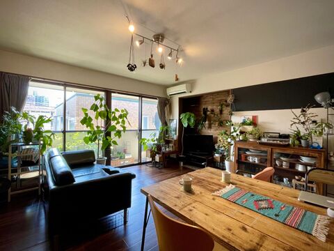 緑いっぱい 癒しの空間 緑あふえるボタニカルインテリアな部屋づくり 暮らしニスタ 緑いっぱい 癒しの空間 緑あふえるボタニカルインテリアな部屋づくり 暮らしニスタ