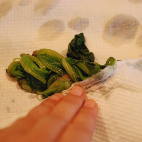ほうれん草と卵とトマトのマヨチーズ和え 暮らしニスタ ほうれん草と卵とトマトのマヨチーズ和え 暮らしニスタ