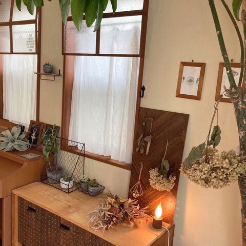 ダイソーのデザインボードを使ったグリーンの飾り方 暮らしニスタ ダイソーのデザインボードを使ったグリーンの飾り方 暮らしニスタ