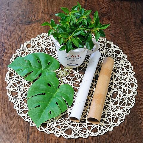 Pzheseuggtqfam Pzheseuggtqfam