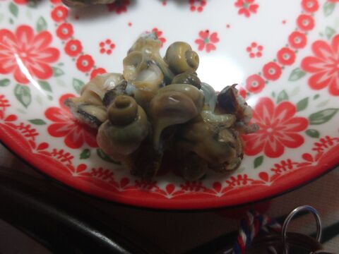 今日のご馳走 須磨海岸 戦利品 いぼにし 暮らしニスタ 今日のご馳走 須磨海岸 戦利品 いぼにし 暮らしニスタ