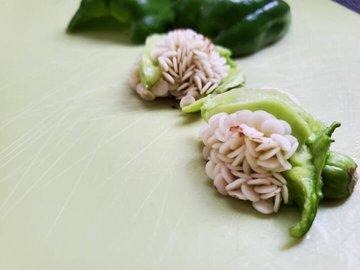 食べ終わった野菜のタネ、捨てるなんてもったいない!おいしい食べ方や再利用方法まとめ