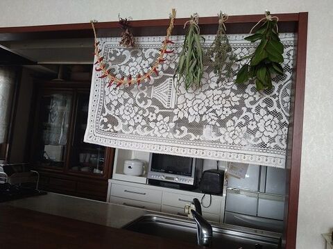 ダイニングに飾るハーブ 暮らしニスタ ダイニングに飾るハーブ 暮らしニスタ