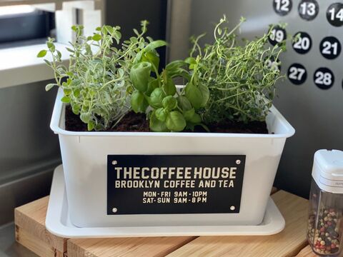 Daiso収納ボックスでキッチンガーデン 暮らしニスタ Daiso収納ボックスでキッチンガーデン 暮らしニスタ