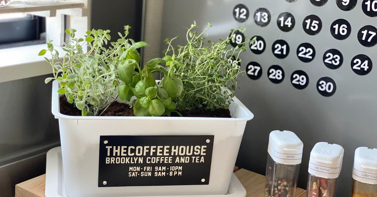 Daiso収納ボックスでキッチンガーデン 暮らしニスタ