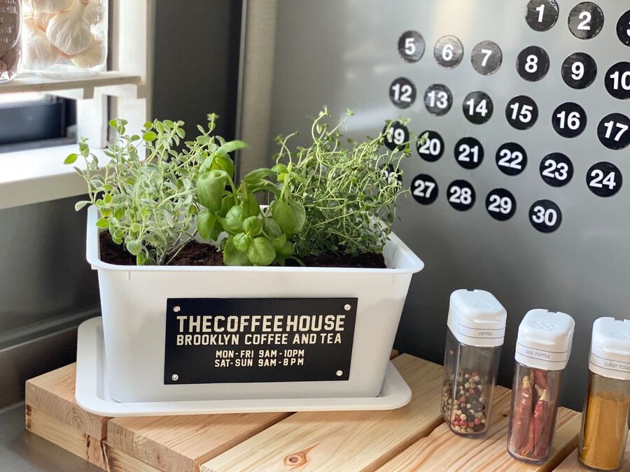 Daiso収納ボックスでキッチンガーデン 暮らしニスタ Daiso収納ボックスでキッチンガーデン 暮らしニスタ