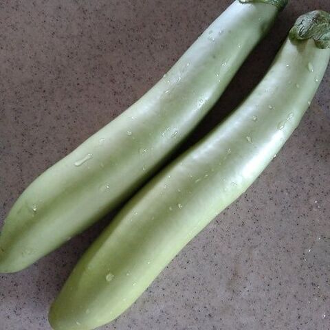 白ナスと豆苗の白だしナムル 暮らしニスタ 白ナスと豆苗の白だしナムル 暮らしニスタ