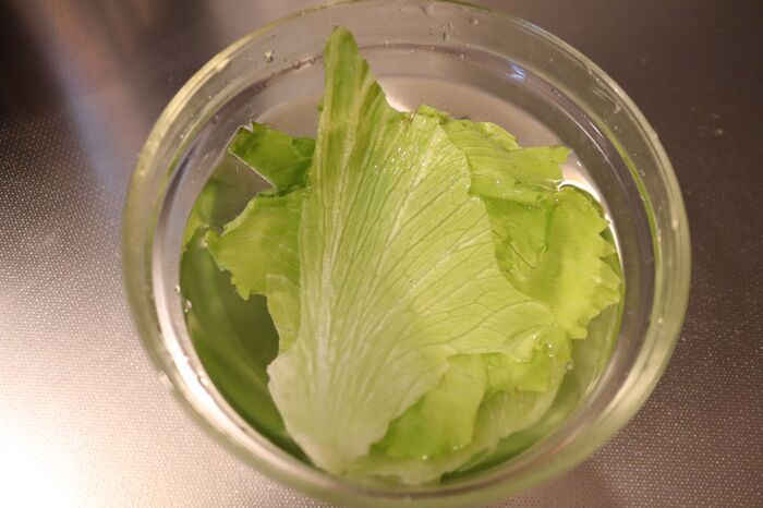 レタスが冷凍保存できるってホント おいしさキープの方法とは 暮らしニスタ レタスが冷凍保存できるってホント おいしさキープの方法とは 暮らしニスタ