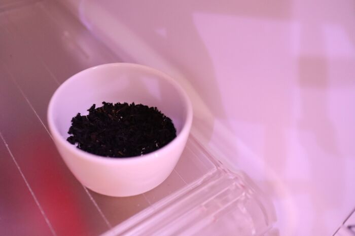 捨てないで 紅茶のティーバッグは飲んだ後もまだまだ使える 暮らしニスタ 捨てないで 紅茶のティーバッグは飲んだ後もまだまだ使える 暮らしニスタ