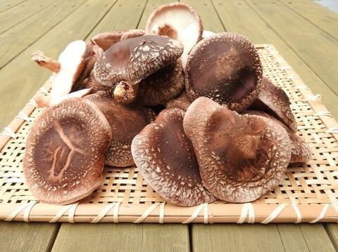 旨味アップの秘訣は冷凍保存 しいたけのオススメ保存方法 暮らしニスタ