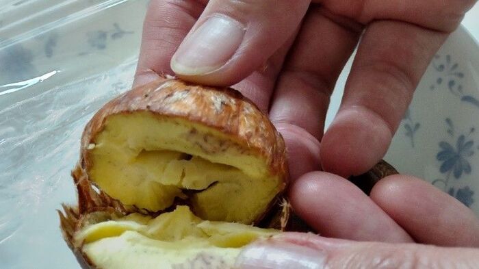 もう茹でなくていい 栗の皮をするりと簡単にむく方法とは 暮らしニスタ もう茹でなくていい 栗の皮をするりと簡単にむく方法とは 暮らしニスタ