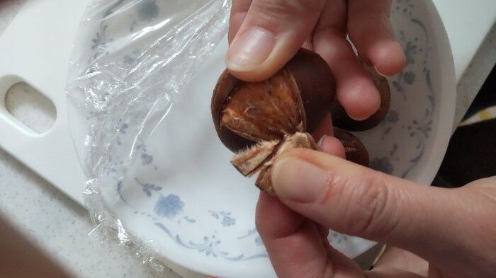 もう茹でなくていい 栗の皮をするりと簡単にむく方法とは 暮らしニスタ もう茹でなくていい 栗の皮をするりと簡単にむく方法とは 暮らしニスタ