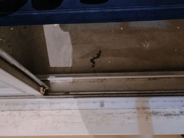 ダイソーのジェルクリーナーが便利すぎる コロコロするだけで家中がキレイに 暮らしニスタ こんにちは 家事コツ研究員の石神りぴです dメニューニュース Nttドコモ ダイソーのジェルクリーナーが便利すぎる コロコロするだけで家中がキレイに 暮らしニスタ こんにちは 家事コツ研究員の石神りぴです dメニューニュース Nttドコモ