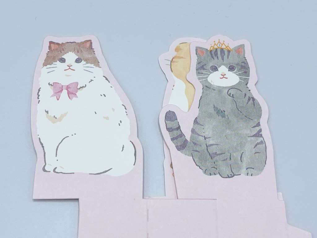 ダイソー 正体不明の猫グッズ 冬のおうち時間に必要すぎた 暮らしニスタ Goo ニュース