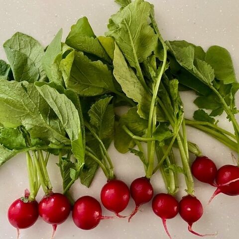 ラディッシュの葉っぱで一品 ごま和え風 暮らしニスタ ラディッシュの葉っぱで一品 ごま和え風 暮らしニスタ