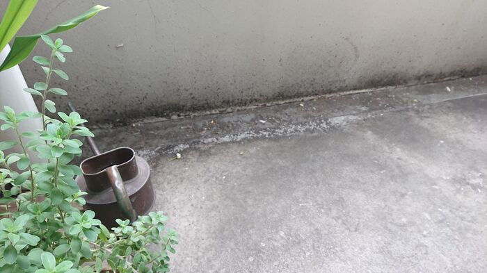 水を流さないベランダ掃除 新聞紙 重曹水でピッカピカ マンションでも安心 暮らしニスタ 水を流さないベランダ掃除 新聞紙 重曹水でピッカピカ マンションでも安心 暮らしニスタ