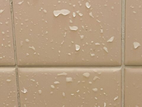 たった5分でお風呂すっきり 漂白剤 片栗粉 が最強のカビ取り剤に 暮らしニスタ たった5分でお風呂すっきり 漂白剤 片栗粉 が最強のカビ取り剤に 暮らしニスタ