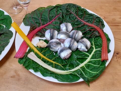 カラフルほうれん草 スイスチャード コハダ寿司 コハダ酢じめ 暮らしニスタ カラフルほうれん草 スイスチャード コハダ寿司 コハダ酢じめ 暮らしニスタ