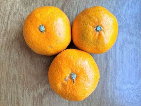 みかんは実は冷凍ok 3パターンの冷凍方法でおいしさを比べてみた 暮らしニスタ みかんは実は冷凍ok 3パターンの冷凍方法でおいしさを比べてみた 暮らしニスタ
