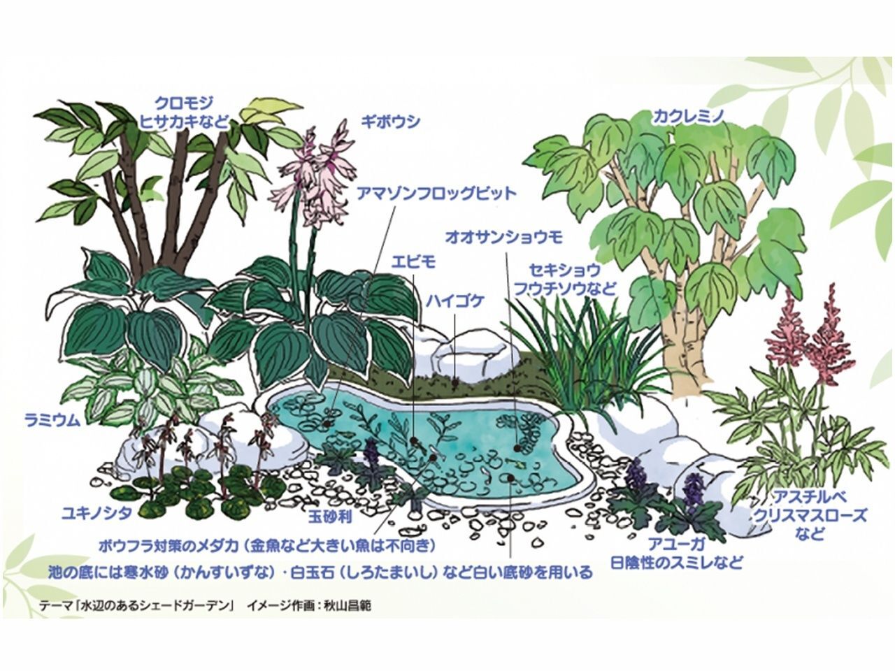 日陰でも育つ植物で素敵なお庭をデザイン