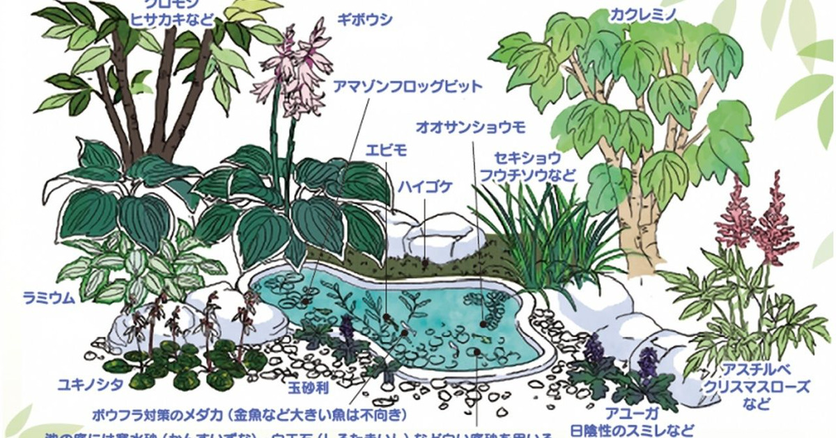 日陰でも育つ植物で素敵なお庭をデザイン 暮らしニスタ