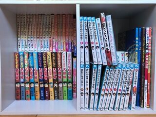 100均の 2段に収納できるコミックスタンド を使ったら奥の本が片手で取れた 暮らしニスタ 100均の 2段に収納できるコミックスタンド を使ったら奥の本が片手で取れた 暮らしニスタ