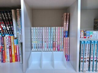 100均の 2段に収納できるコミックスタンド を使ったら奥の本が片手で取れた 暮らしニスタ 100均の 2段に収納できるコミックスタンド を使ったら奥の本が片手で取れた 暮らしニスタ