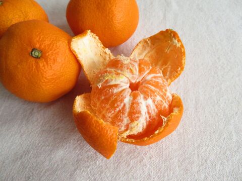 大量に出るみかんの皮ゴミ 捨てるの待った 実はすご く便利に使えます 暮らしニスタ 大量に出るみかんの皮ゴミ 捨てるの待った 実はすご く便利に使えます 暮らしニスタ