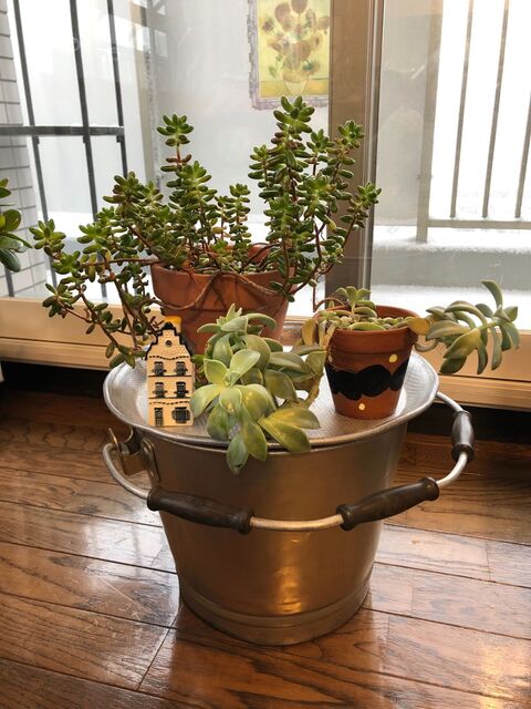 家にある物で 観葉植物テーブル 暮らしニスタ 家にある物で 観葉植物テーブル 暮らしニスタ