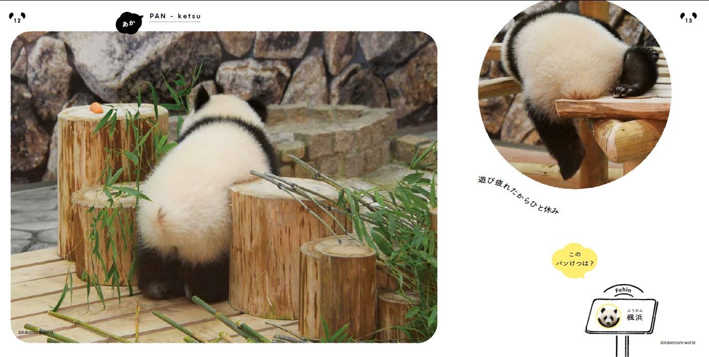 人気施設の看板パンダ→「独特すぎるバックショット」TOP3