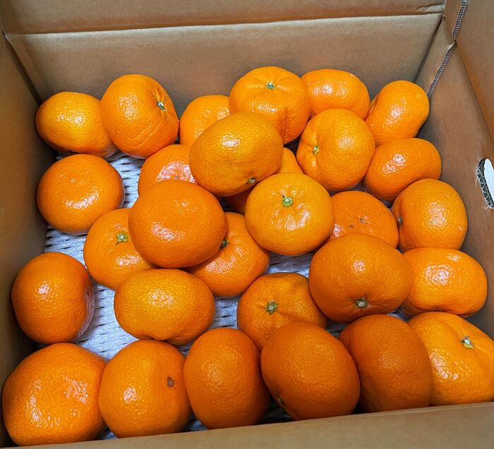 余ったみかんをそのまま食べるのに飽きたら 簡単リメイクで消費量アップ 暮らしニスタ 余ったみかんをそのまま食べるのに飽きたら 簡単リメイクで消費量アップ 暮らしニスタ