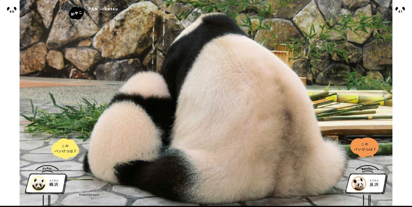 パンダのアレに癒される人が急増中 悶絶級にかわいいベストショットを公開 暮らしニスタ