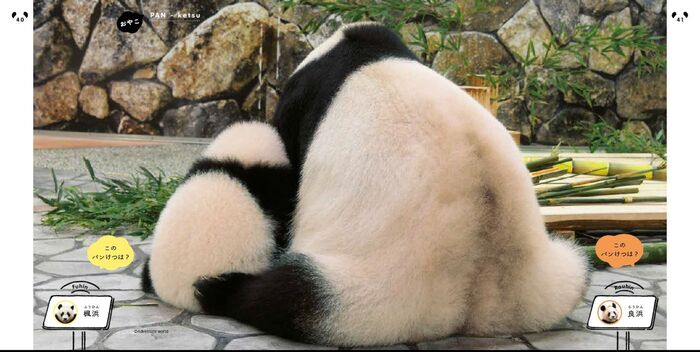 パンダのアレに癒される人が急増中 悶絶級にかわいいベストショットを公開 暮らしニスタ パンダのアレに癒される人が急増中 悶絶級にかわいいベストショットを公開 暮らしニスタ