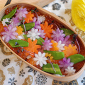 【ひな祭りに】.｡.:✽ 彩りちらし寿司弁当でお祝い .｡.:✽