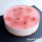 桜スイーツ♡桜色がキュートな３層の桜レアチーズケーキ