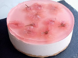 桜スイーツ♡桜色がキュートな３層の桜レアチーズケーキ