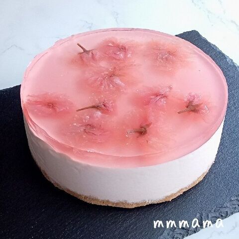 桜スイーツ 桜色がキュートな3層の桜レアチーズケーキ 暮らしニスタ 桜スイーツ 桜色がキュートな3層の桜レアチーズケーキ 暮らしニスタ