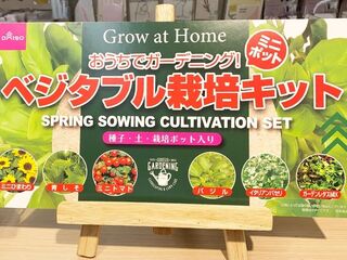 ダイソー 手軽にキッチンガーデン 野菜がこれ1つで育てられるキット 暮らしニスタ ダイソー 手軽にキッチンガーデン 野菜がこれ1つで育てられるキット 暮らしニスタ