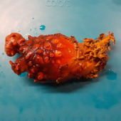 今日の「おつまみ」…ホヤを捌いてお洒落に盛り付け！