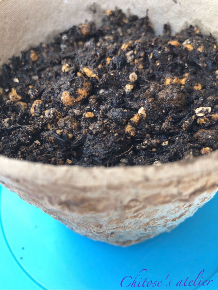 植木鉢の受け皿はこれで代用 暮らしニスタ 植木鉢の受け皿はこれで代用 暮らしニスタ