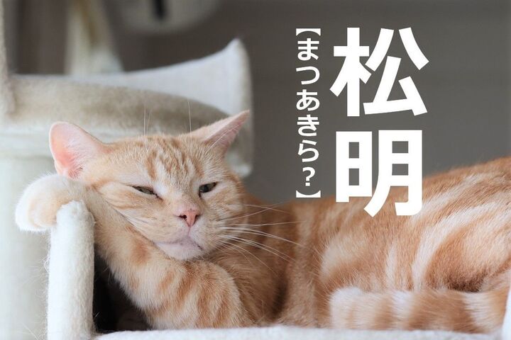 【松明】を「まつあきら」と読むと笑われます!【意外と読めない漢字クイズ】