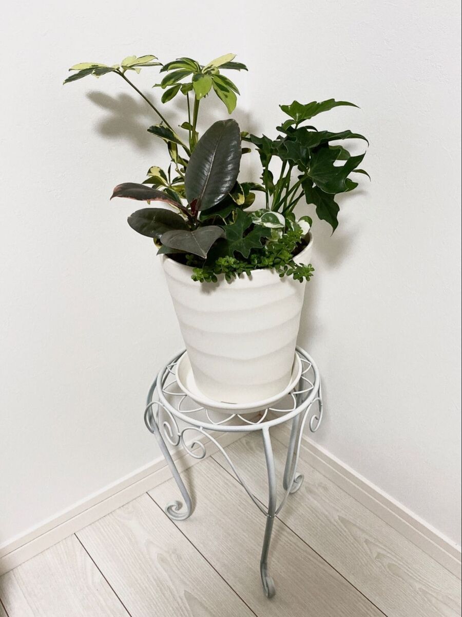 アイアン花台を好みの色にスプレー 暮らしニスタ アイアン花台を好みの色にスプレー 暮らしニスタ