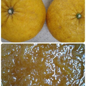 夏みかんジャム