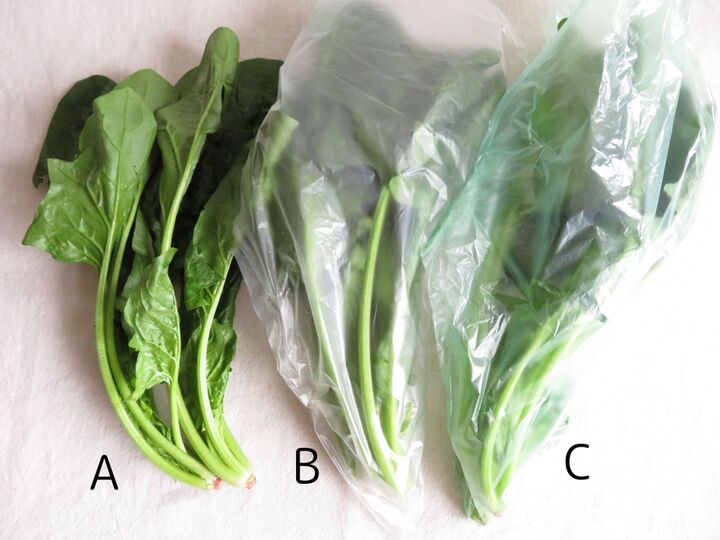 野菜が長持ちするってホント!?話題のダイソー「鮮度保持袋」を試してみた♪