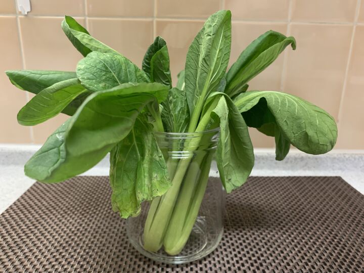 冷蔵庫のヘナヘナ野菜、捨てないで!シャキッと復活させる方法教えます!