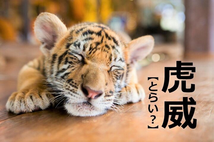 【虎威】を「とらい」と読むと笑われます!【読めないと恥ずかしい漢字クイズ】