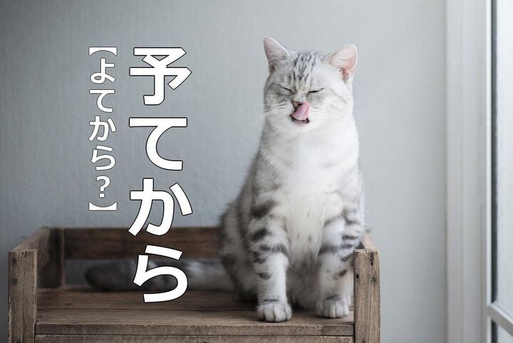 【予てから】を「よてから」と読むと笑われます!【読めないと恥ずかしい漢字クイズ】