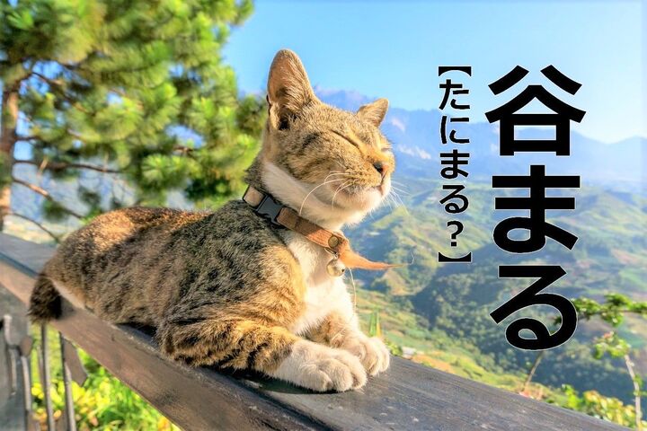 【谷まる】を「たにまる」と読むと笑われます！【読めないと恥ずかしい漢字クイズ】