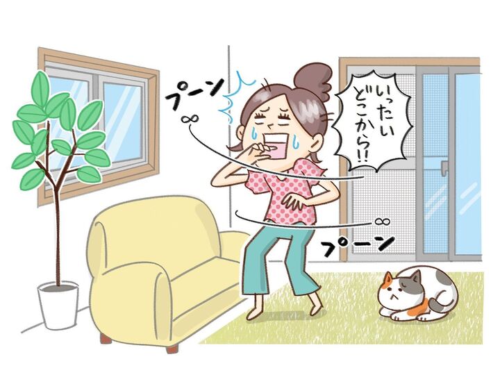 え?知らなかった!「網戸」の正しい使い方で夏の困った“虫”対策